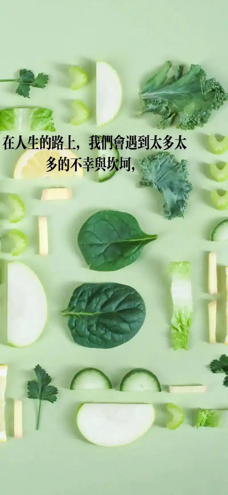 一花一草一世界 #唯美意境 #感悟人生 - 抖音