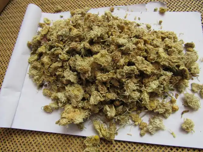 批发中药材白菊花药用白菊花2016年新货