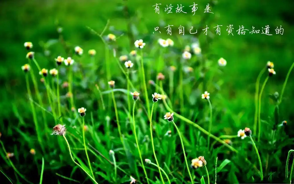 x1200高清壁纸 [点击下载此图片壁纸]绿色