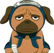 火影忍者帕克-pakkun-パックン-头像图片-资料介绍-acg人物点评