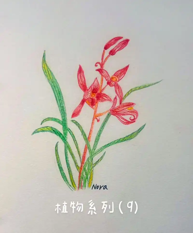 简笔画 #手绘花朵 #学会快去试试吧97 兰花象征兄弟手足 - 抖音