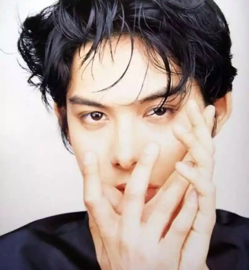 好看的犯规,他的帅中带着秀气和内敛,说他是花美男的鼻祖一点不夸张