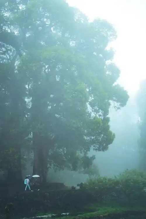 春游丽水烟雨入遂昌江南美景看浙丽