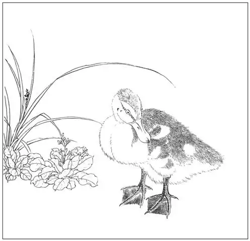 工笔画毛笔勾宣纸笔勾白描打印稿底稿乳鸭佚名宋佚名国画