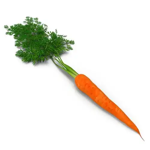 3d carrot 2 model