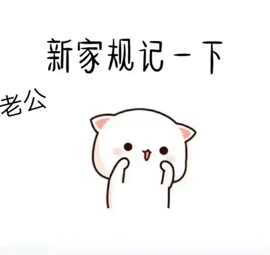 套路男友之新家规