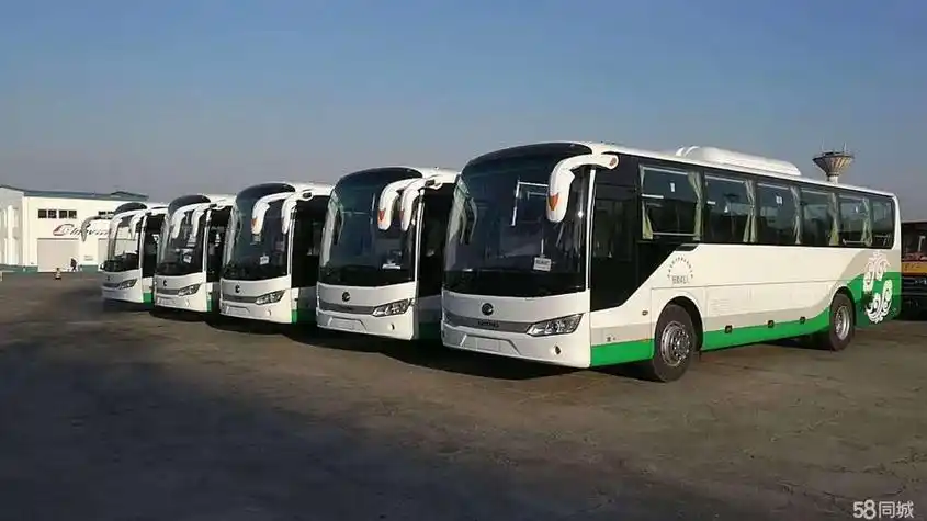 东莞旅游观光车面向广州,深圳,佛山,中山,茂名销售,出租,租赁高尔夫球