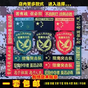 战术士气魔术贴章 猎鹰突击队臂章背包贴徽章胸贴背包章定制背贴