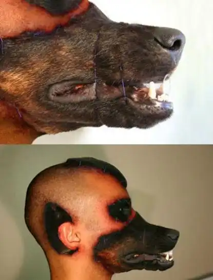 世界第一例人狗面颅接洽手术该如何看待——北京叶子整形美容医院