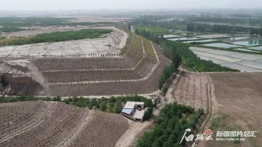 360万公顷山水的绿色蝶变