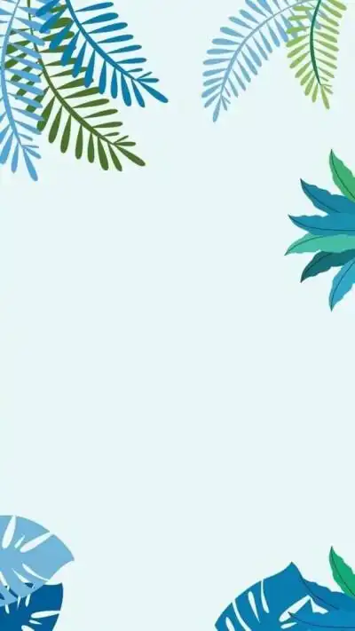 小红书好看的壁纸