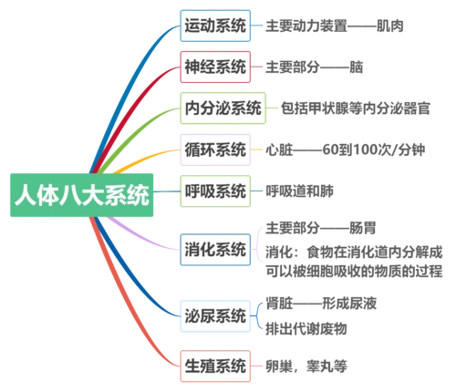 海豚    b. 海豹    c. 章鱼    d. 海牛 2.人体八大系