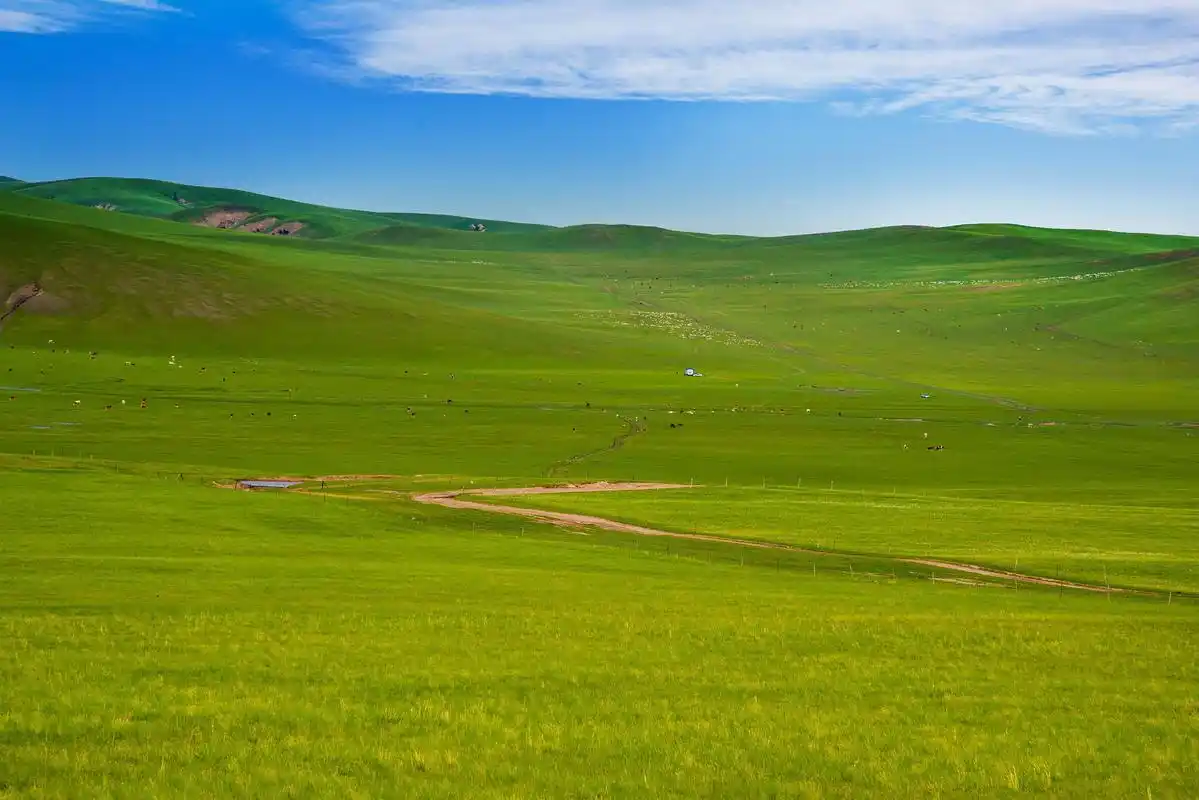 来内蒙古大草原吧!这里的风景如画,让人心旷神怡.