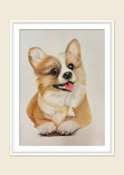 彩铅画狗又加工了一下感觉好些了