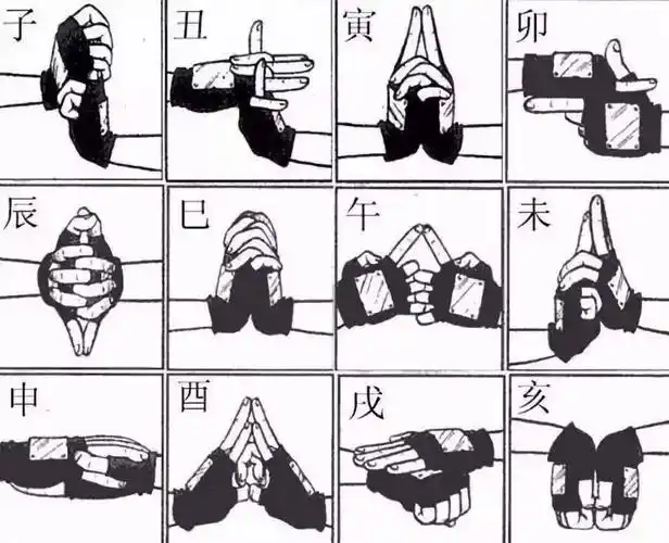 火影忍者手印结印教学(忍术结印大全顺序)「必看」 - 916手游网