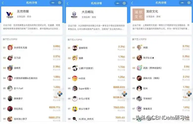抖音网红排名前十(了解网红真实收入)
