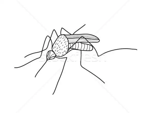 商业照片: 蚊子 · 素描 ·手·画· 涂鸦 · 风格