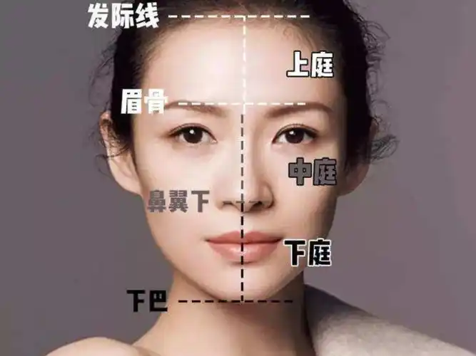 你是中庭美女吗