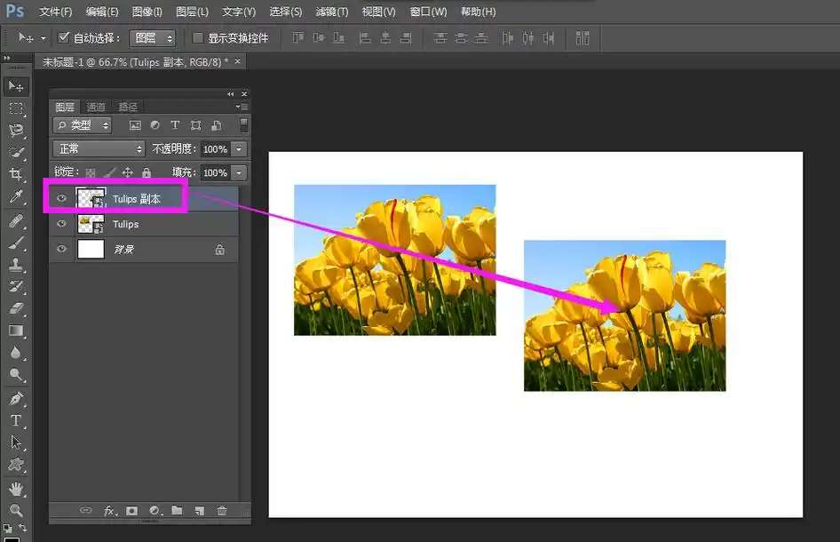 ps怎么平移复制图案