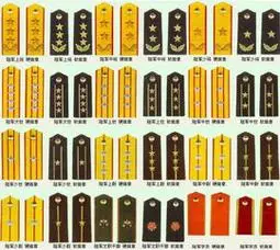 军衔等级排名军衔等级排名肩章图片