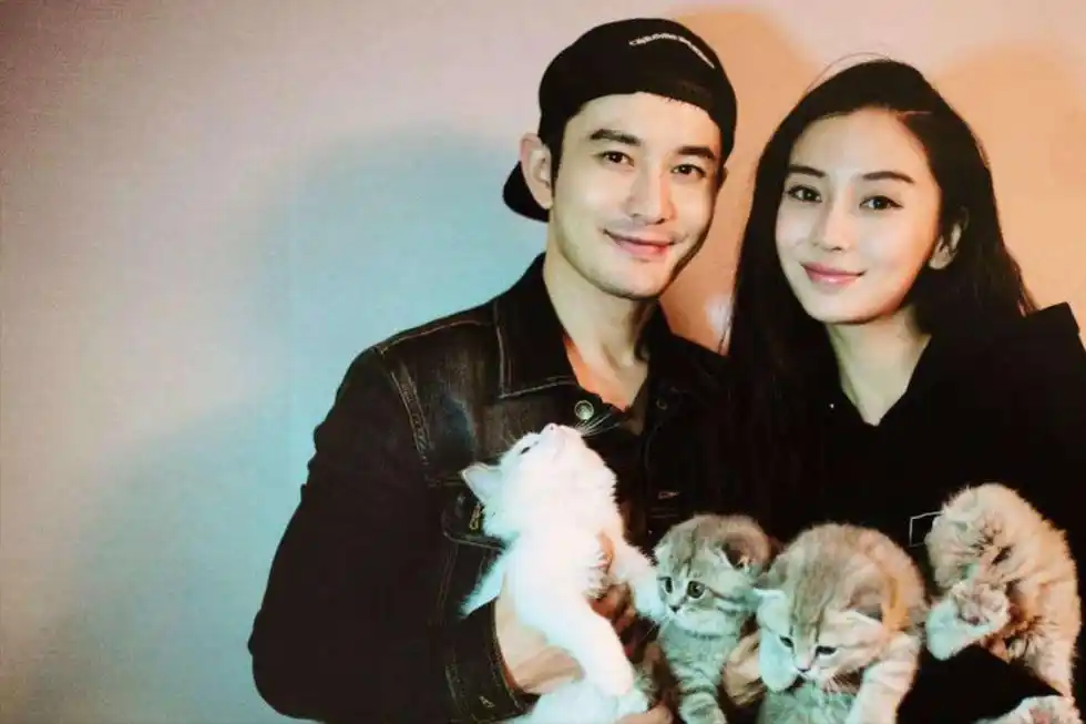 如何看待黄晓明和杨颖两人的恋爱关系,是否真离婚还是网络舆论