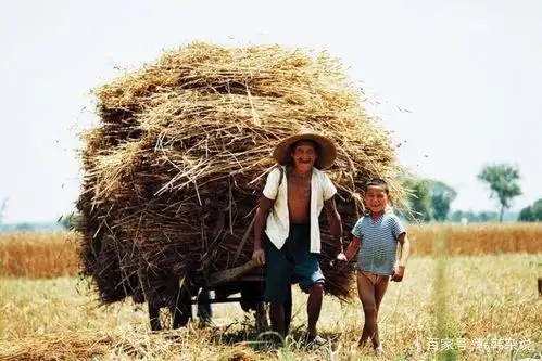 老照片:80年代的农村生活