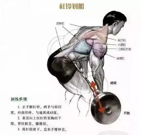 背阔肌外侧怎么练,背阔肌外展怎么练(你需要这5个经典练背动作)
