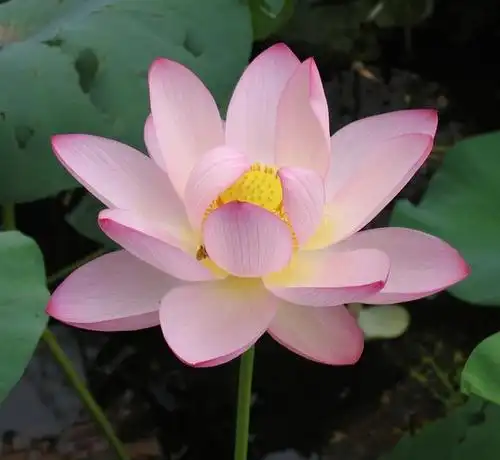 那些常年微信头像不换的人,往往有这3个特征,看看你有吗?