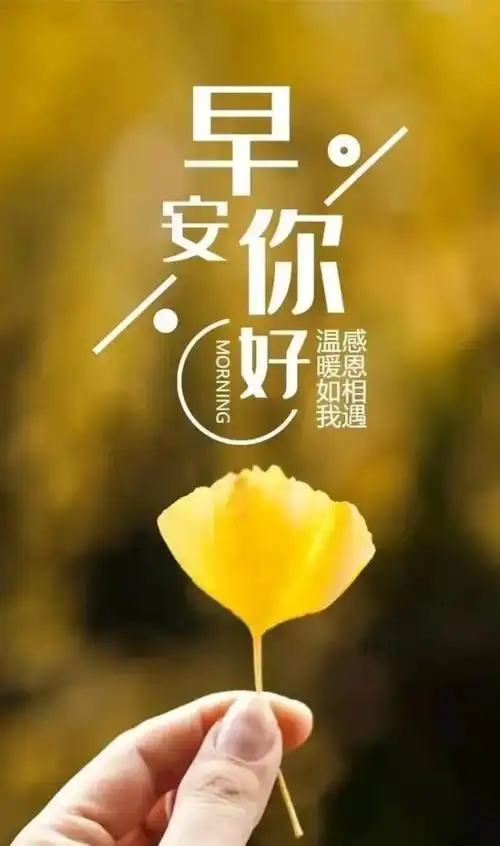 早安心语励志正能量图片句子大全2021早安正能量语录句子温馨励志每天