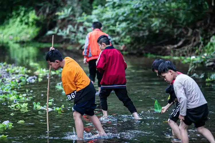 童年时光里最开心的莫过于和玩伴们一起戏水捉鱼摸田螺要是能回到从前