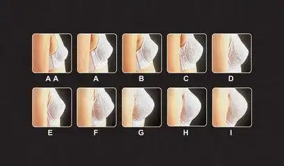 中国女性の数据大赏