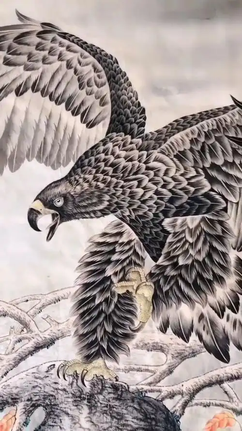 雄鹰展翅祝大家飞黄腾达