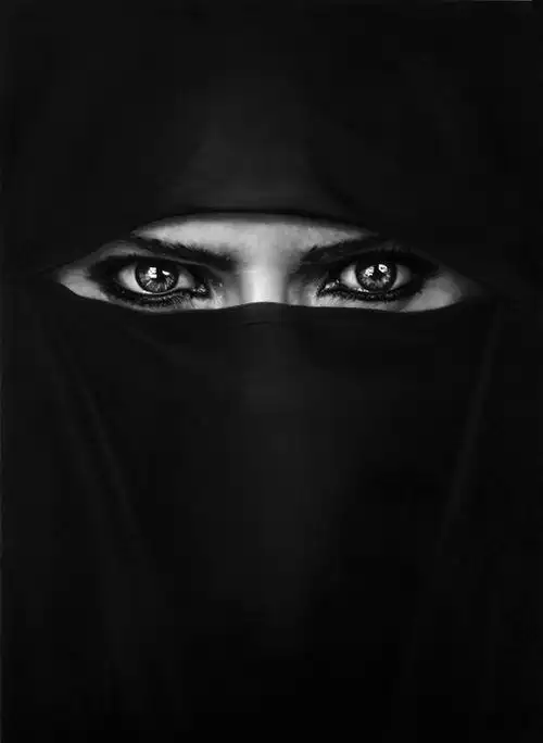 这是一双充满仇恨,复仇的强烈欲望以及疯狂的双眼!