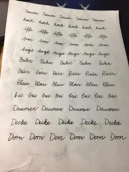 多亏了《漂亮德语手写体》.希望自己更多进步,多多认识德语同仁.