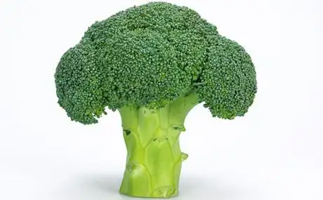 抗癌"明星"西兰花的简介