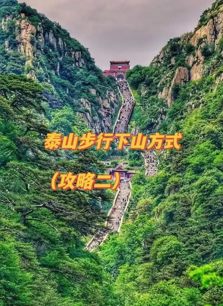 爬泰山攻略——四条路线.爬泰山四条路线介绍  红门路线,经典 - 抖音