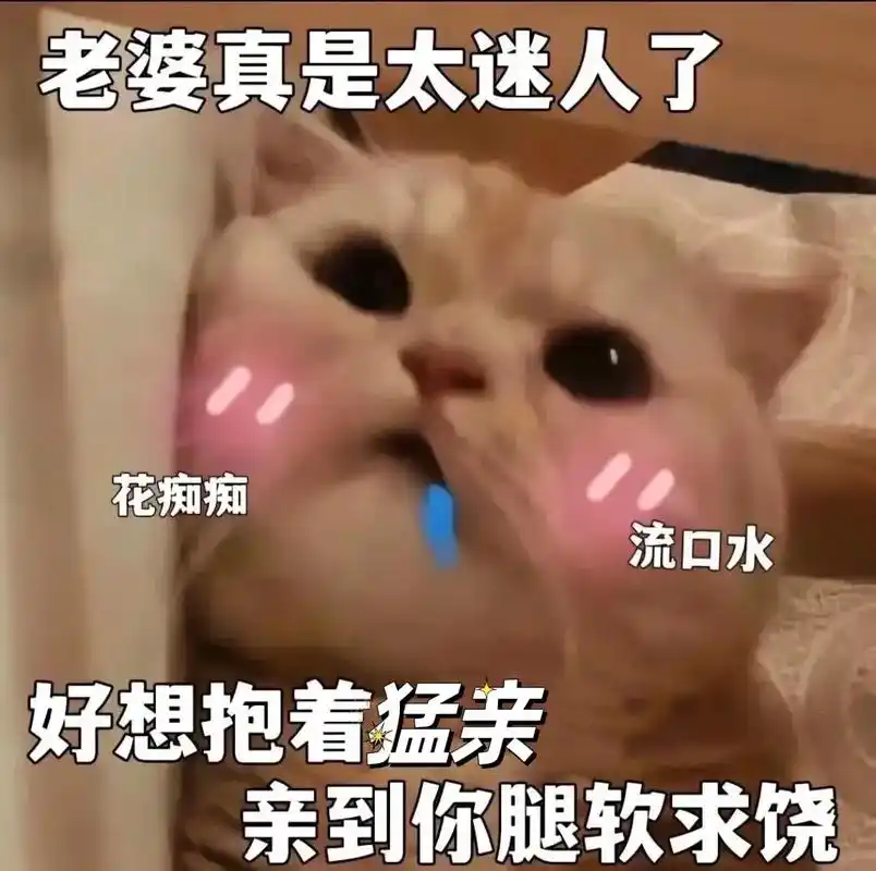 情侣日常 #发给对象表情包 #欢迎取图 #爱情 #猫咪表情 - 抖音