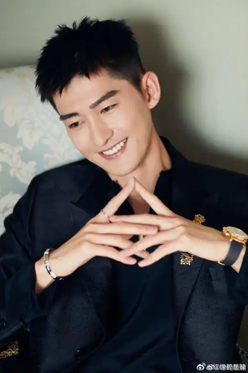 张翰几几年的感觉有些沧桑了