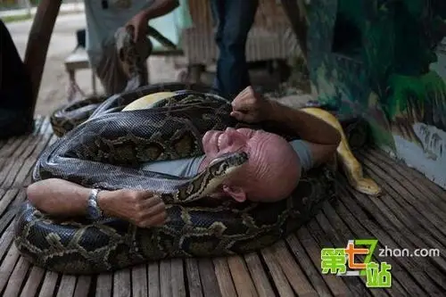 网传巨蟒吞人照巨乳美女野外与蟒激烈肉搏