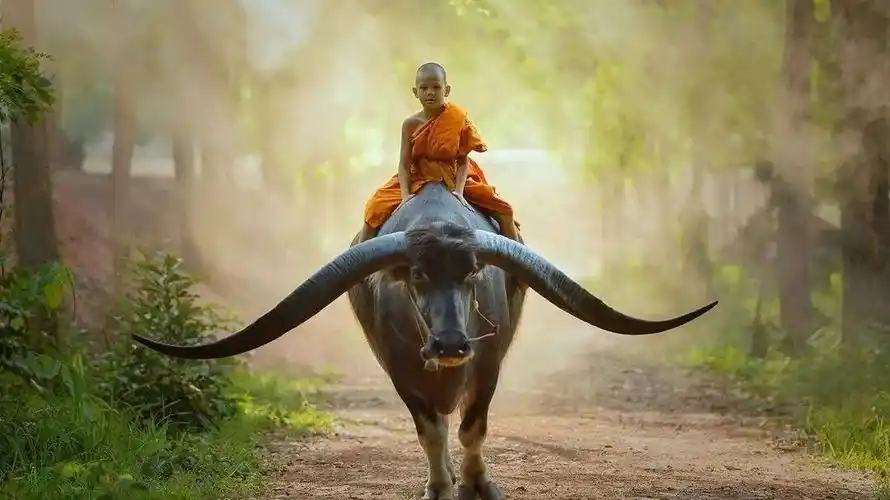 一个真正修行人的本钱是什么