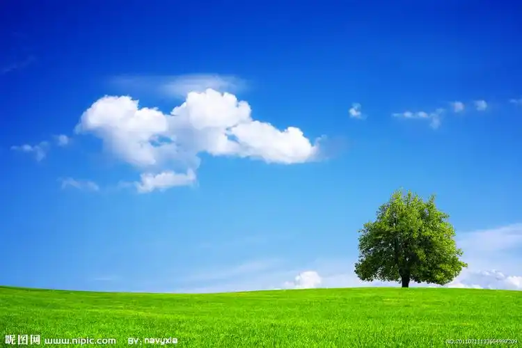 蓝天白云草丛草地