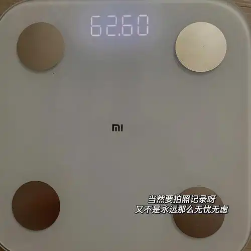 day22今日体重622kg