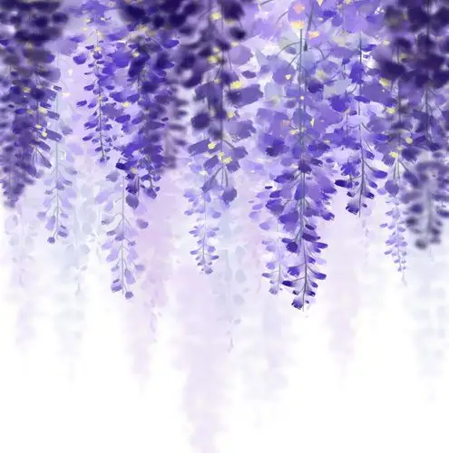 标签:紫藤花水彩风