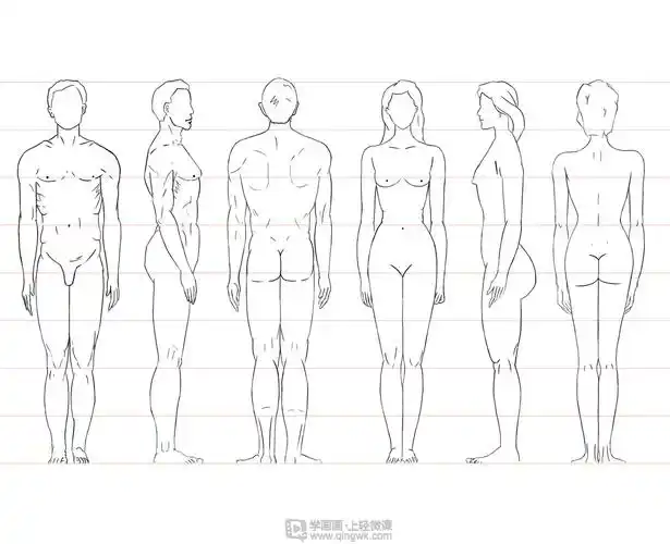 古风插画之人体比例