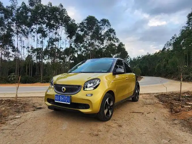转让奔驰smart平时拿拿快递露露营_fortwo 电动社区_易车社区