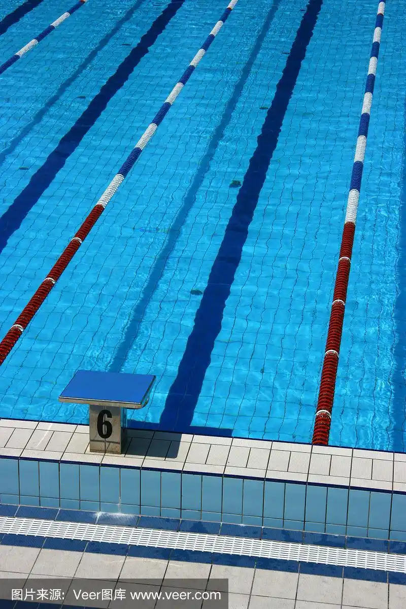 泳道,游泳池,数字6,垂直画幅,水
