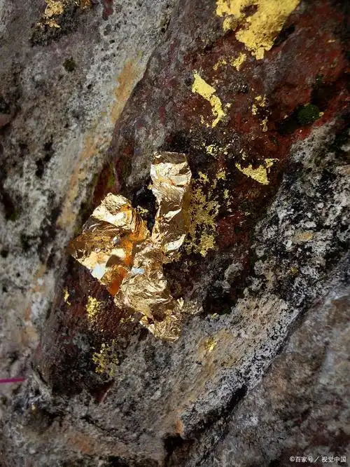 难处理金矿石之生物氧化