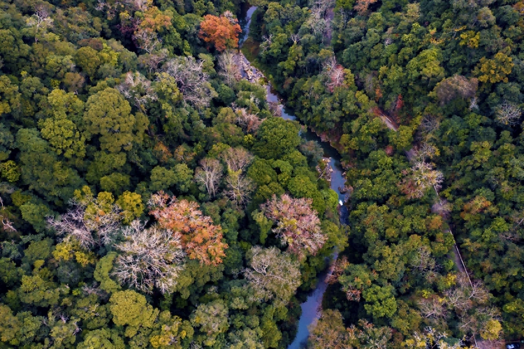 美极了姹紫嫣红的始兴车八岭你见过吗