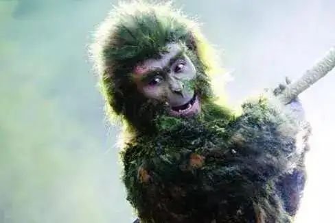 西游记孙悟空被困五百年,六耳猕猴可能陪伴着他!