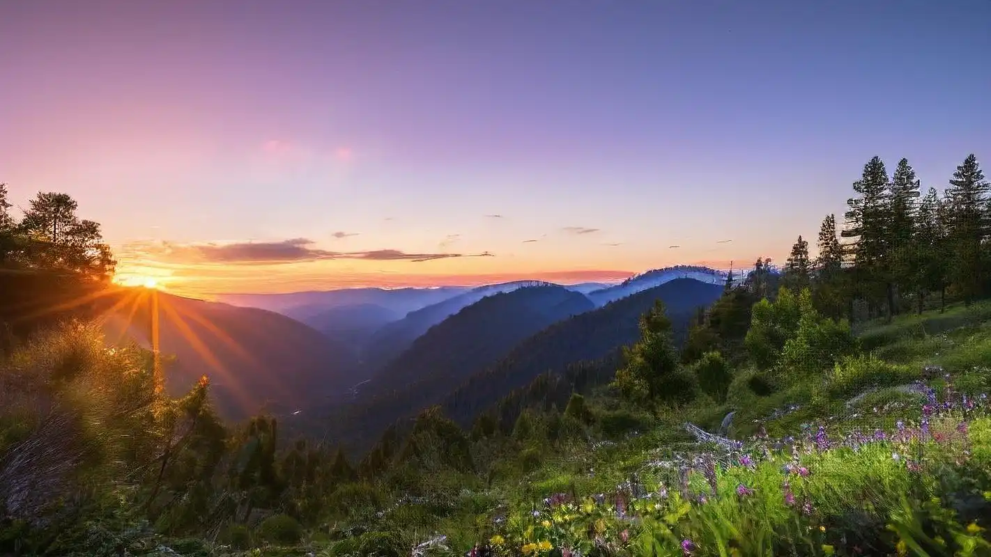 救赎壁纸🌲,置身森林感受自然之力🍃